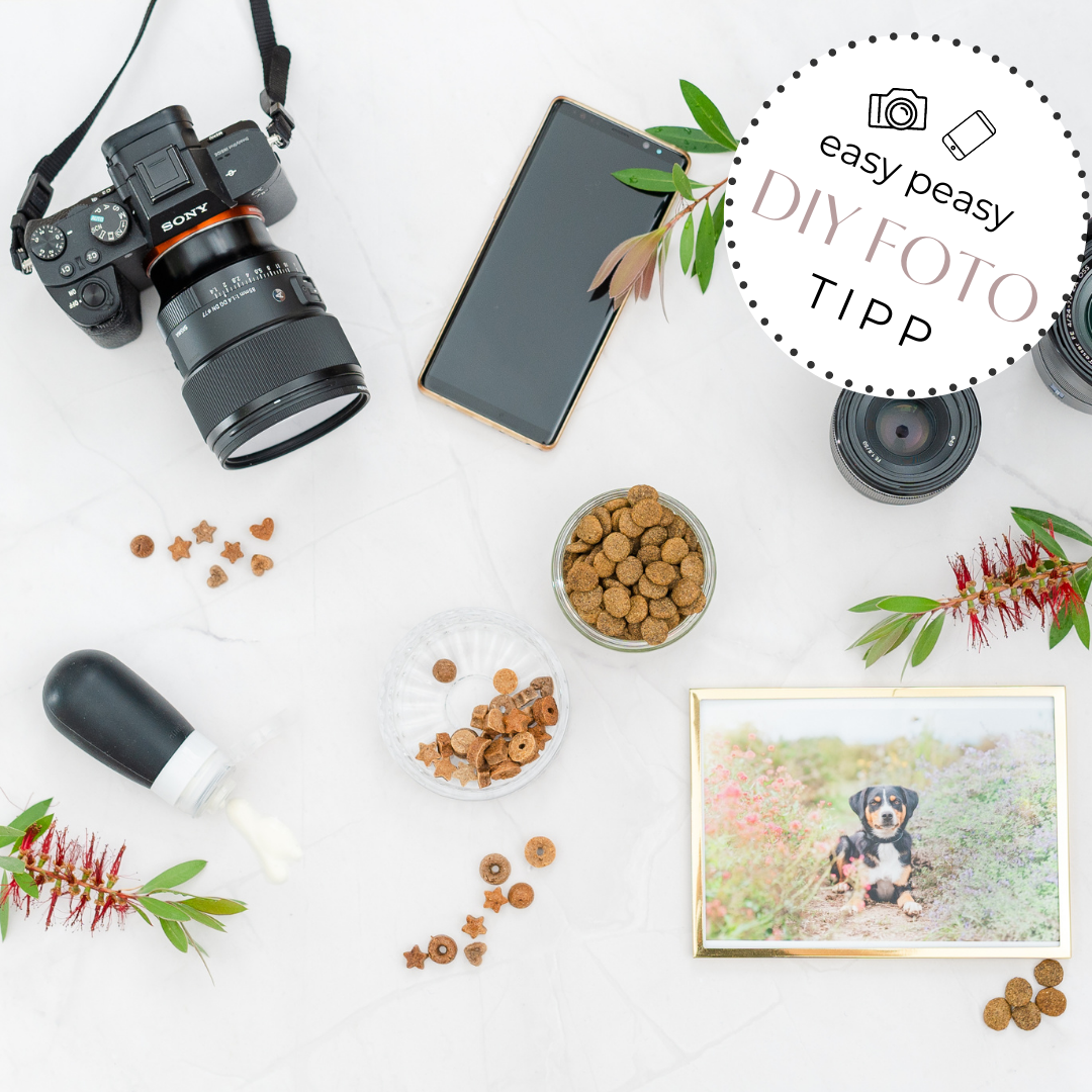 Tierfotografie Stuttgart und Ludwigsburg
