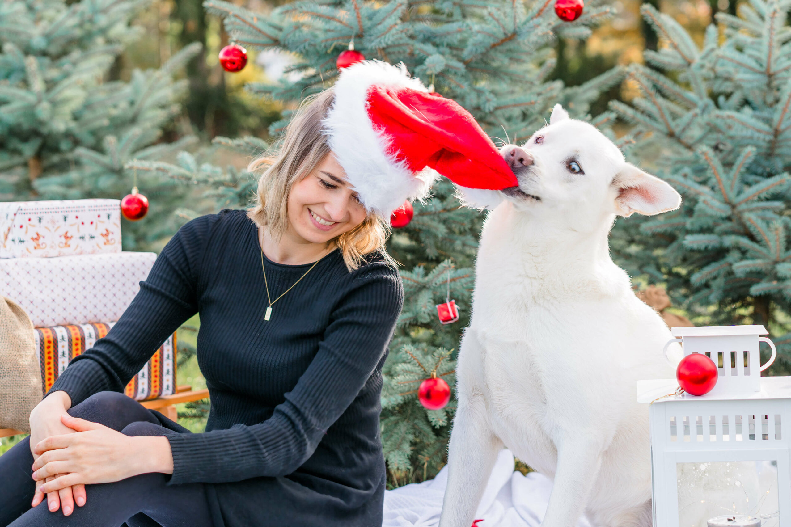 Fotografin Stuttgart Ludwigsburg Hunde